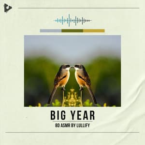 Big Year - 8D ASMR by Lullify