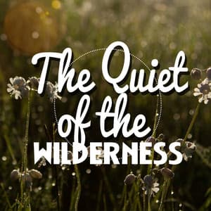 The Quiet of the Wilderness - Nature Sounds - Sons de la nature