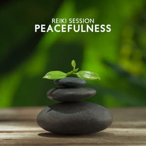 Reiki Session: Peacefulness Calmness and Happiness - Reiki Music Energy Healing