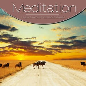 Meditation, Vol. Brown - Vi-Starrs
