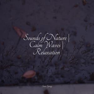 Sounds of Nature | Calm Waves | Relaxation - Sound Healing Center
