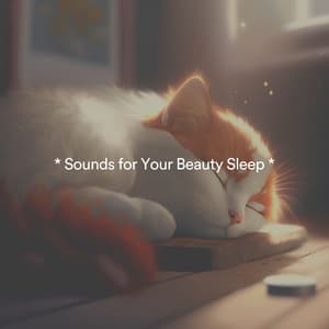 * Sounds for Your Beauty Sleep * - Music for Sleep