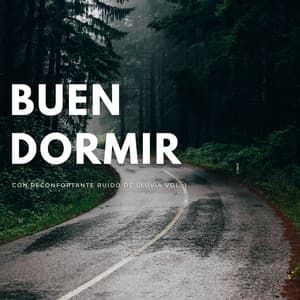 Buen Dormir Con Reconfortante Ruido De Lluvia Vol. 1 - Sonidos de lluvia para dormir