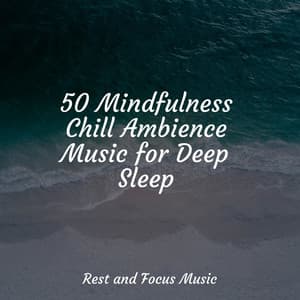 50 Mindfulness Chill Ambience Music for Deep Sleep - Study Zone