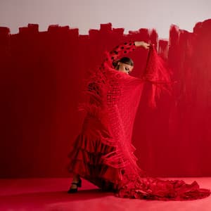 Café Flamenco: Spanish Lounge Vibes, Latin Dance Rhythms, and Relaxing Restaurant Music - Coffe Jazz Playlists