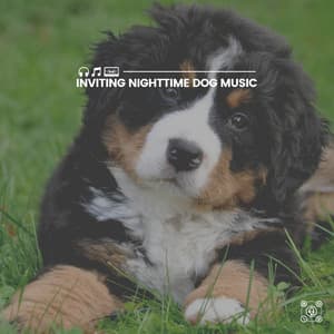 Inviting Nighttime Dog Music - Calm Dog Music