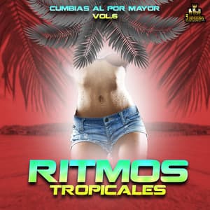 Cumbias Al Por Mayor Vol. 6 - Ritmos Tropicales
