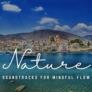 Yoga Journey: Soundtracks for Mindful Flow - Yoga Meditation Music
