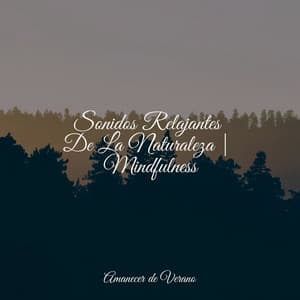 Sonidos Relajantes De La Naturaleza | Mindfulness - Mantra para Meditar