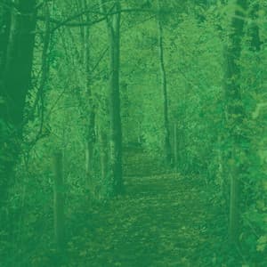 Ambiance for Unique Thoughts - Work at Home Music