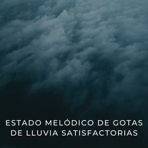 Estado Melódico De Gotas De Lluvia Satisfactorias - Don Lluvia