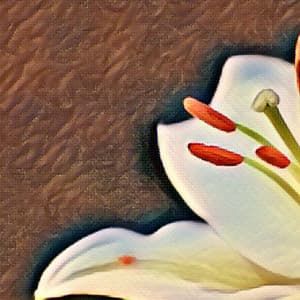 Guitar Trio - Ambiance for Golden Memory - #Relaxing