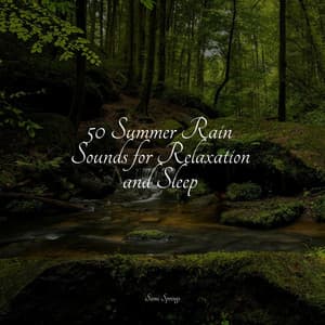 50 Summer Rain Sounds for Relaxation and Sleep - Relaxing Mindfulness Meditation Relaxation Maestro