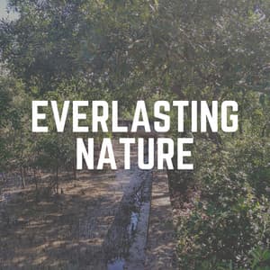 Everlasting Nature - Cricket Sounds