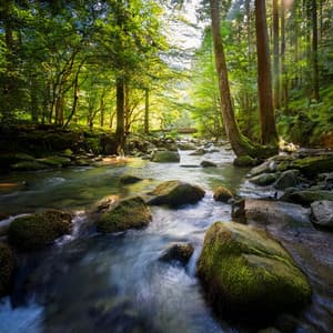 Music For Relaxing And Surrendering To The Flow Of Peace - Perfect Relaxing Music