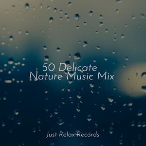 50 Delicate Nature Music Mix - Yoga Namaste
