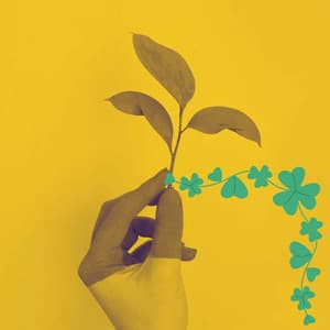 Echoes of Chilly Afternoon - Sensual Jazz Instrumentals