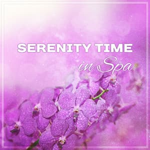 Serenity Time in Spa - Meditation Spa Music Ensemble