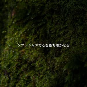 ソフトジャズで心を落ち着かせる - Entspannende Musik