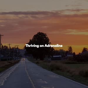 Thriving on Adrenaline - Jazz and Chill