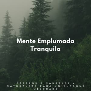 Mente Emplumada Tranquila: Pájaros Binaurales Y Naturaleza Para Un Enfoque Mejorado - Aves del bosque sueco
