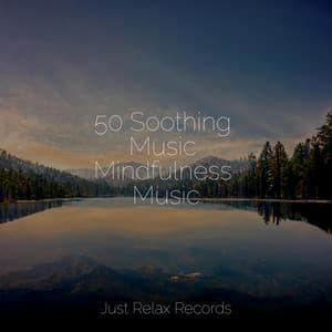 50 Soothing Music Mindfulness Music - Lucid Dreaming World-Collective Unconscious Mind