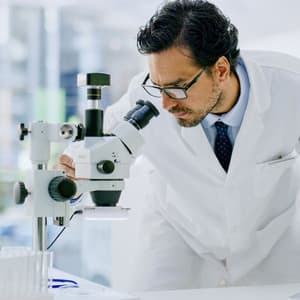 Concentration Odyssey: Jazz Piano Fusion for Insight - Classy Bossa Piano Jazz Playlist