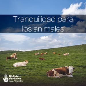 Tranquilidad para los animales - Biblioteca de Música Para Mascotas