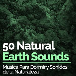 50 Natural Earth Sounds - Musica Para Dormir y Sonidos de la Naturaleza