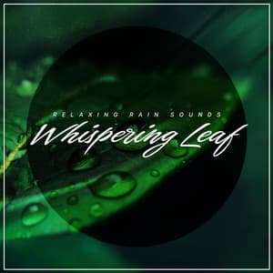 Whispering Leaf - Relaxing Rain Sounds