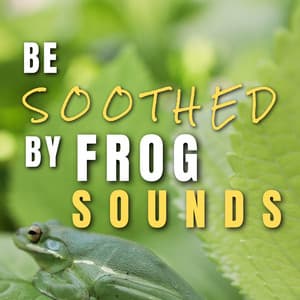 Be Soothed by Frog Sounds - Frog Sounds