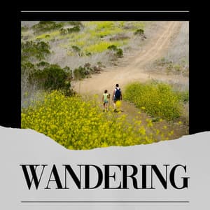 Wandering - Organic Nature Sounds