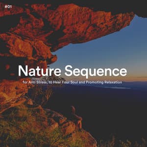 #01 Nature Sequence for Anti Stress, to Heal Your Soul and Promoting Relaxation - The Nature Soundscapes