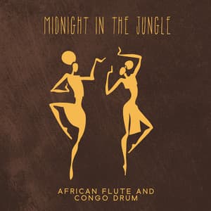 Midnight In The Jungle: Healing African Flute and Congo Drum Music to Boost Spiritual Energy, Connect to Your Roots and Allow Spirit to Come Alive with the Energizing Sounds - Positive Energy Academy
