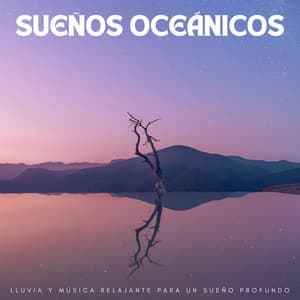 Sueños Oceánicos: Lluvia Y Música Relajante Para Un Sueño Profundo - Ondas del océano para dormir profundamente