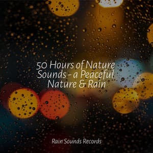 50 Hours of Nature Sounds - a Peaceful Nature & Rain - Lullabies for Deep Meditation