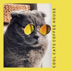 Cool Cats Love Smooth Jazz - Cool Cats Coffee House
