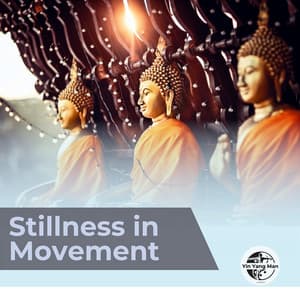Stillness in Movement - Yin Yang Man
