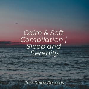 Calm & Soft Compilation | Sleep and Serenity - Sleepy Night Music