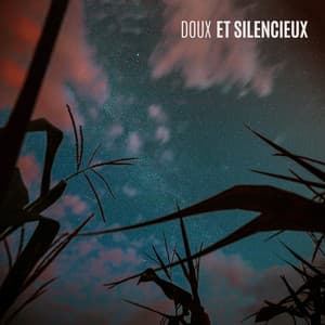 Doux et silencieux - Zen Ambiance D'eau Calme
