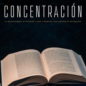 Concentración: La Mejor Manera De Estudiar / Leer / Trabajar Con Sonidos De Naturaleza - Concentracion Examenes