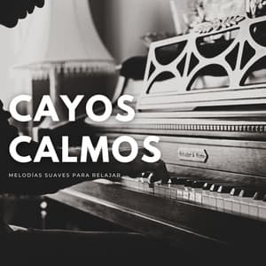 Cayos Calmos: Melodías Suaves Para Relajar - Proyecto de piano