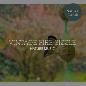 Vintage Fire Sizzle - Nature Music - Sleepy Times