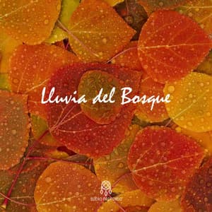Lluvia del Bosque - Lluvia Del Bosque