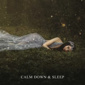 Calm Down & Sleep: Long Ambient Notes, Comforting Low Noise - Total Relax Music Ambient