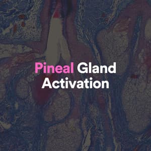 Pineal Gland Activation - Healing Music Studio