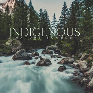 Indigenous Organic Vibes - Kenny Woid