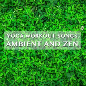 15 Yoga Workout Songs - Ambient and Zen - Yoga Music Workout