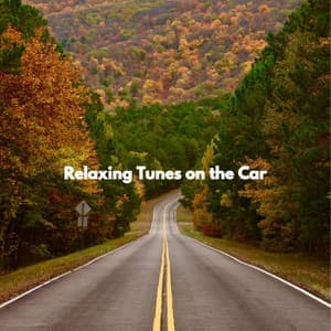 Relaxing Tunes on the Car - Early Morning Jazz Playlist