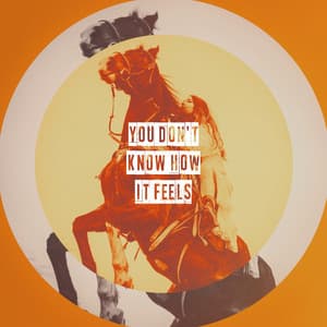 You Don't Know How It Feels - American Country Hits